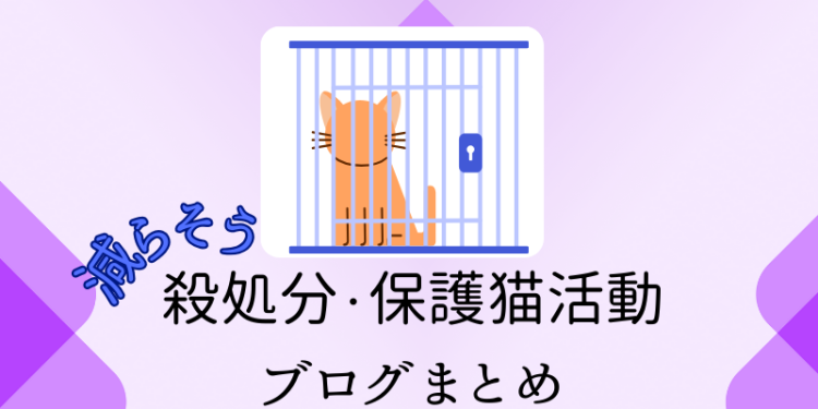 ていねいなくらし